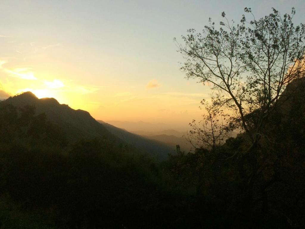 Minthu Homestay Ella Bagian luar foto