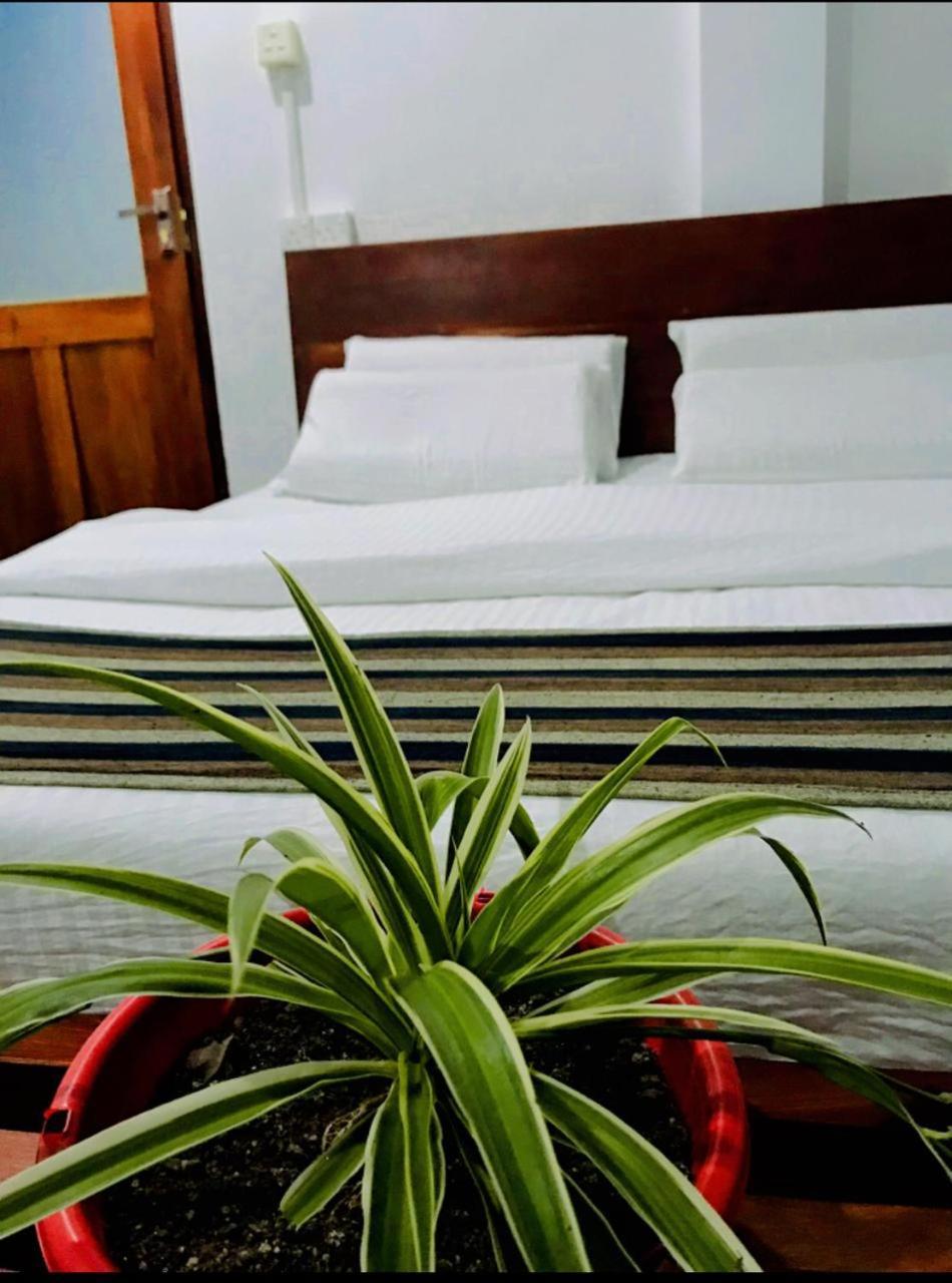 Minthu Homestay Ella Bagian luar foto